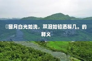 魫窗月白光如洗，双泪如铅洒髹几。的释义