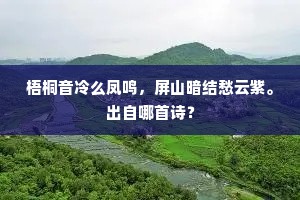 梧桐音冷么凤鸣，屏山暗结愁云紫。出自哪首诗？