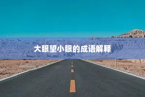 大眼望小眼的成语解释