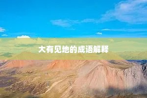 大有见地的成语解释