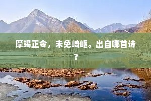 摩竭正令，未免崎岖。出自哪首诗？