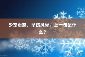 少室垂慈，早伤风骨。上一句是什么？