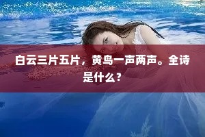 白云三片五片，黄鸟一声两声。全诗是什么？