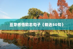 豆芽感悟励志句子（精选50句）