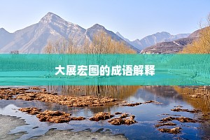 大展宏图的成语解释