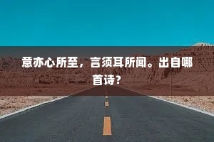 意亦心所至，言须耳所闻。出自哪首诗？