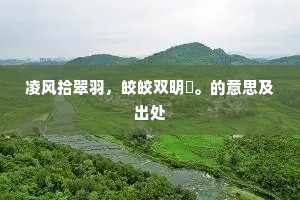 凌风拾翠羽，皎皎双明珰。的意思及出处