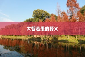 大智若愚的释义
