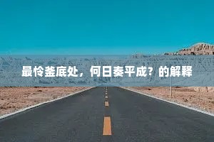 最怜釜底处，何日奏平成？的解释