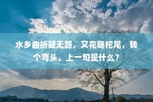 水乡曲折疑无路，又花随柁尾，转个弯头。上一句是什么？