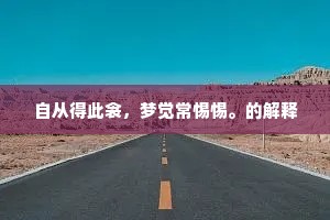 自从得此衾，梦觉常惕惕。的解释