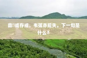 鼎鬴或存戒，韦弦亦规失。下一句是什么？