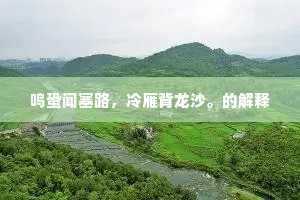 鸣蛩闻塞路，冷雁背龙沙。的解释