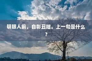 明眼人前，自彰丑拙。上一句是什么？