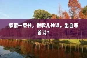 家藏一束书，懒教儿孙读。出自哪首诗？