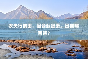 农夫行饷田，闺妾起缝素。出自哪首诗？