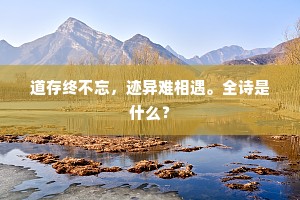 道存终不忘，迹异难相遇。全诗是什么？