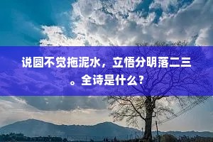 说圆不觉拖泥水，立悟分明落二三。全诗是什么？