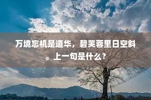 万境忘机是道华，碧芙蓉里日空斜。上一句是什么？
