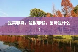 是真非真，是假非假。全诗是什么？