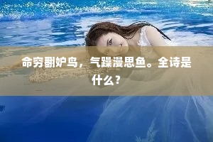 命穷翻妒鸟，气躁漫思鱼。全诗是什么？