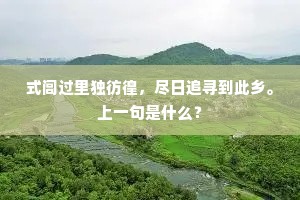 式闾过里独彷徨，尽日追寻到此乡。上一句是什么？