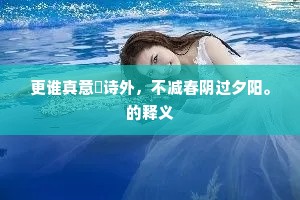 更谁真意紬诗外，不减春阴过夕阳。的释义