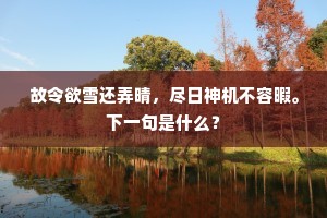 故令欲雪还弄晴，尽日神机不容暇。下一句是什么？
