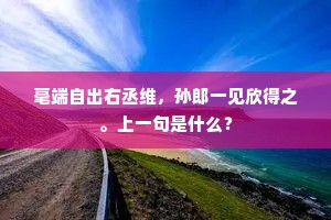 毫端自出右丞维，孙郎一见欣得之。上一句是什么？
