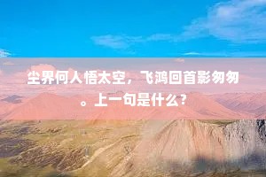 尘界何人悟太空，飞鸿回首影匆匆。上一句是什么？
