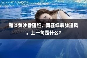 黯淡黄沙昏落照，萧骚绿苇战遥风。上一句是什么？