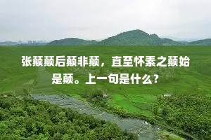 张颠颠后颠非颠，直至怀素之颠始是颠。上一句是什么？