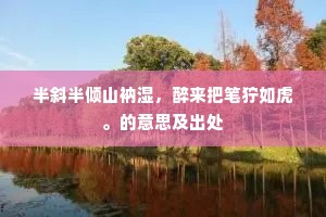 半斜半倾山衲湿，醉来把笔狞如虎。的意思及出处