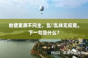 粉壁素屏不问主，乱拏乱抹无规矩。下一句是什么？