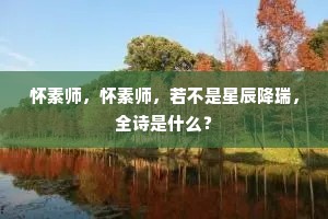 怀素师，怀素师，若不是星辰降瑞，全诗是什么？
