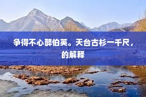 争得不心醉伯英。天台古杉一千尺，的解释