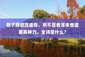 数子赠歌岂虚饰，所不足者浑未曾道著其神力。全诗是什么？
