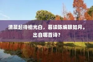 清晨起待檐光白，暮读陈编眼如月。出自哪首诗？
