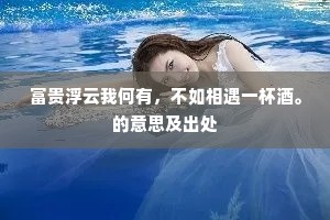 富贵浮云我何有，不如相遇一杯酒。的意思及出处