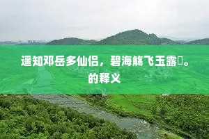 遥知邓岳多仙侣，碧海觞飞玉露漙。的释义