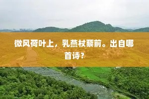 微风荷叶上，乳燕杖藜前。出自哪首诗？