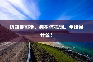 所知良可待，独往信孤烟。全诗是什么？