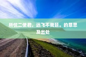 所忧二使君，远飞不我延。的意思及出处