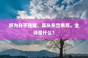 好为升平强健，宾从东岱南郊。全诗是什么？