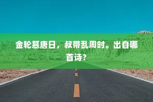 金轮篡唐日，叔带乱周时。出自哪首诗？
