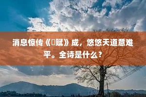 消息惊传《鵩赋》成，悠悠天道意难平。全诗是什么？