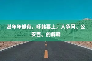 甚年年却有，呼韩塞上，人争问、公安否。的解释