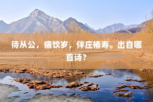 待从公，痛饮岁，伴庄椿寿。出自哪首诗？