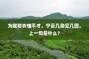 为赋初衣愧不才，宁云几动见几回。上一句是什么？