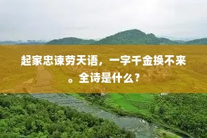 起家忠谏劳天语，一字千金换不来。全诗是什么？